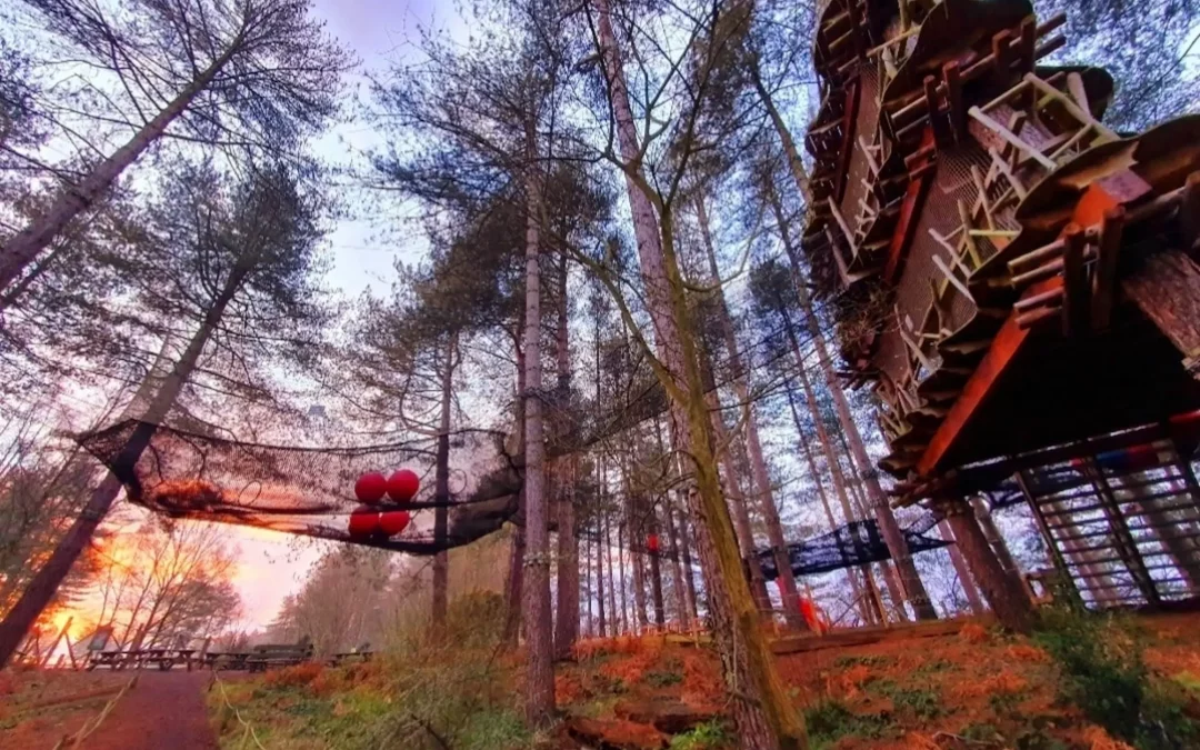Moors Valley Go Ape Nets Adventure