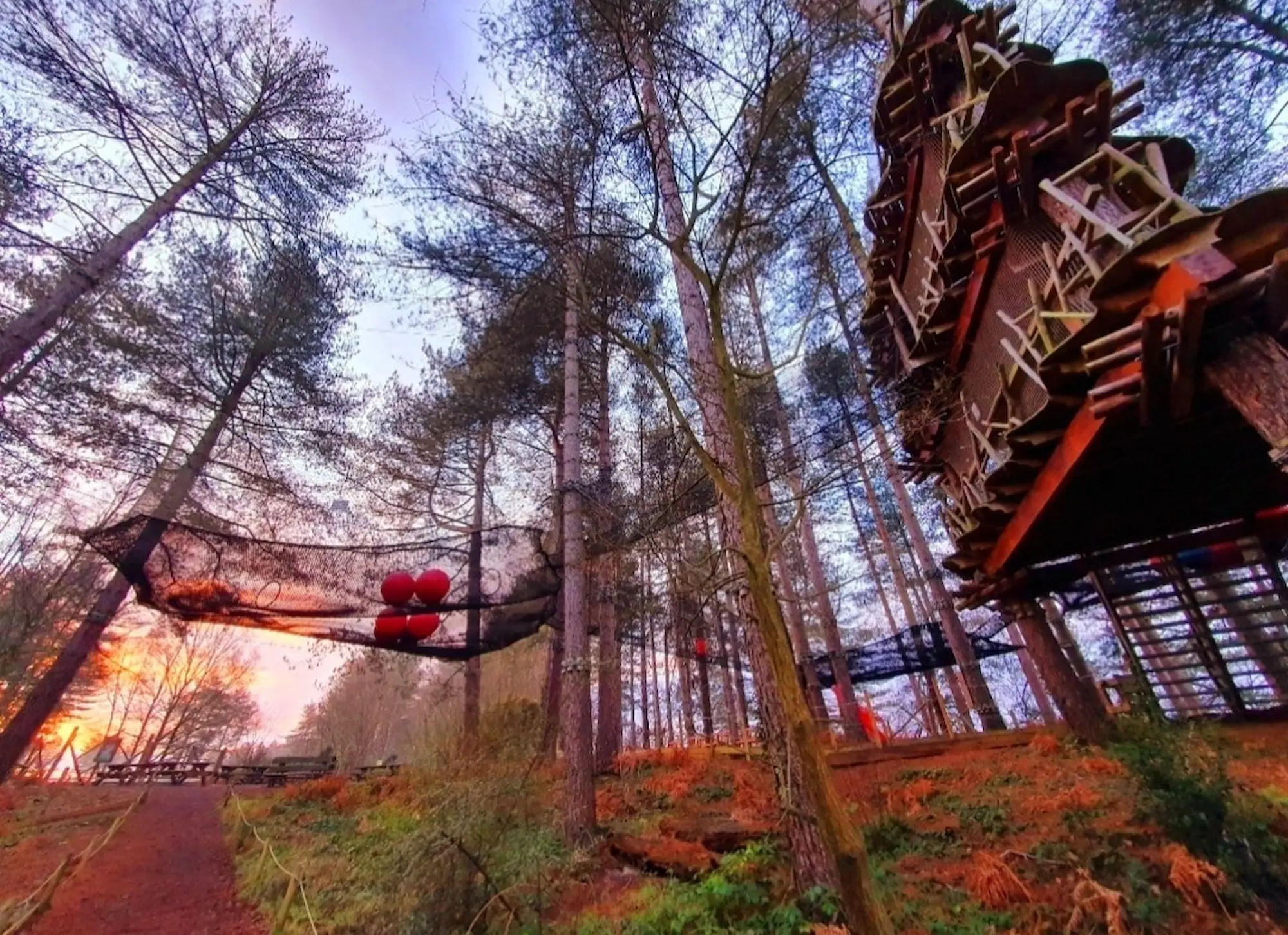 Moors Valley Go Ape Nets Adventure